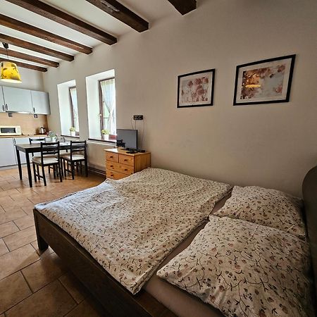 Apartmanove Ubytovani V Koutech Лоучна-над-Десноу Экстерьер фото